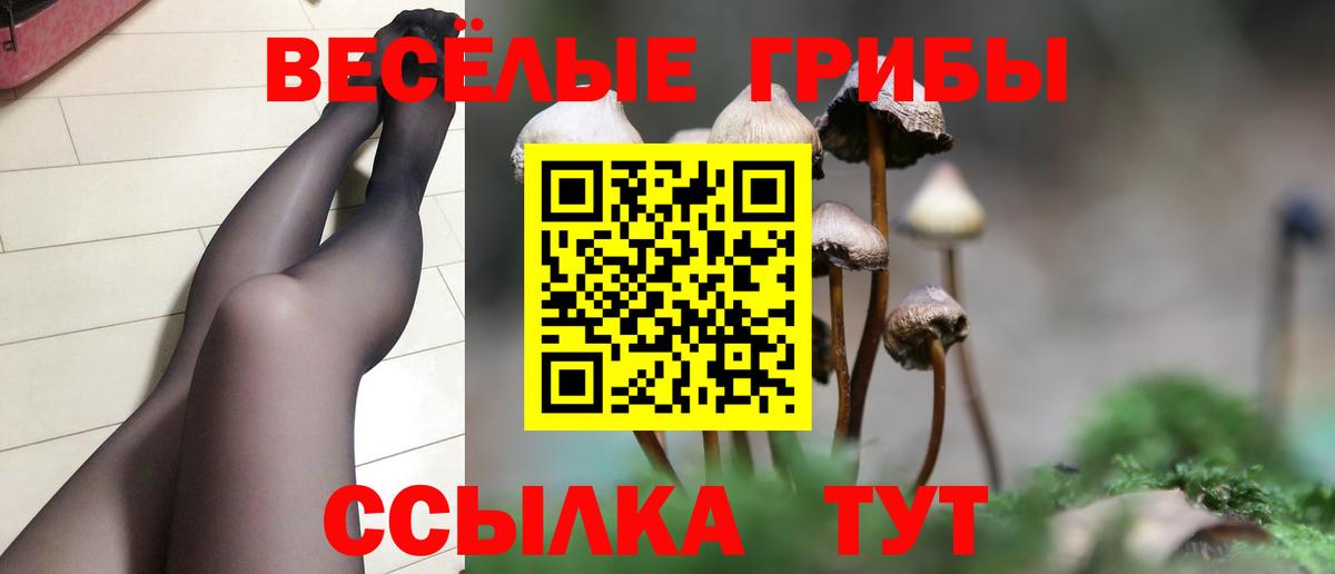 Галлюциногенные грибы Psilocybine cubensis  купить закладку  Северск  Вход с VPN 
